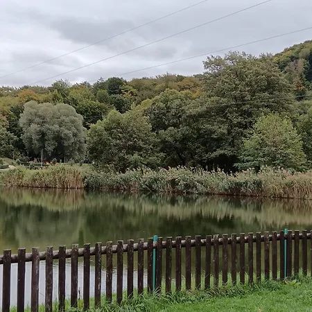 Cozy Aventura Parc Zoo 아파트